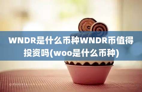 WNDR是什么币种WNDR币值得投资吗(woo是什么币种)