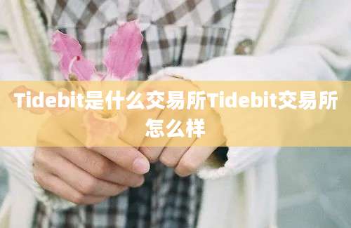 Tidebit是什么交易所Tidebit交易所怎么样