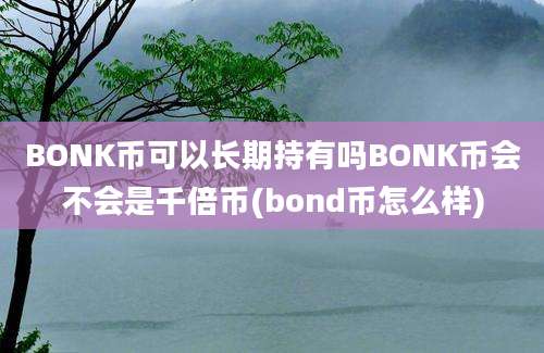 BONK币可以长期持有吗BONK币会不会是千倍币(bond币怎么样)