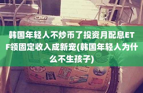 韩国年轻人不炒币了投资月配息ETF领固定收入成新宠(韩国年轻人为什么不生孩子)