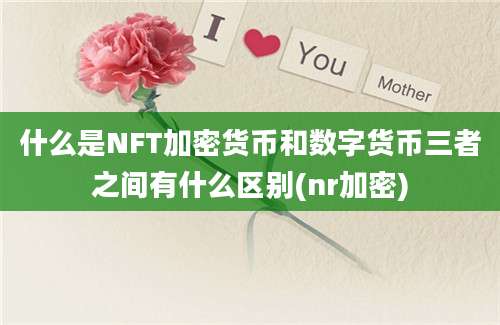 什么是NFT加密货币和数字货币三者之间有什么区别(nr加密)