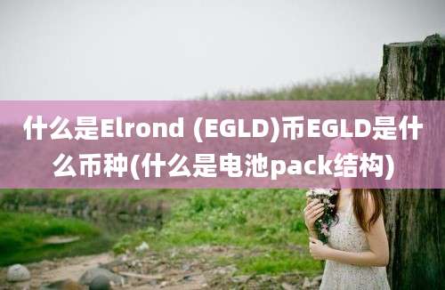 什么是Elrond (EGLD)币EGLD是什么币种(什么是电池pack结构)