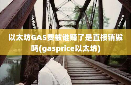 以太坊GAS费被谁赚了是直接销毁吗(gasprice以太坊)