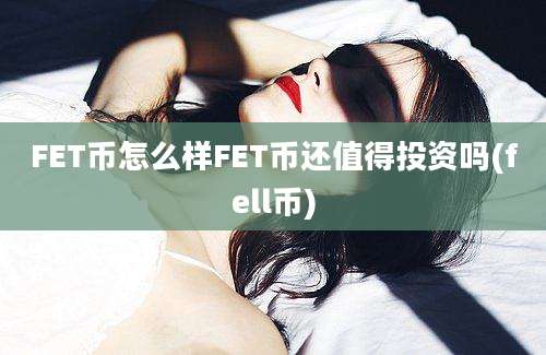 FET币怎么样FET币还值得投资吗(fell币)