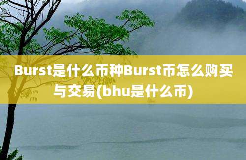 Burst是什么币种Burst币怎么购买与交易(bhu是什么币)