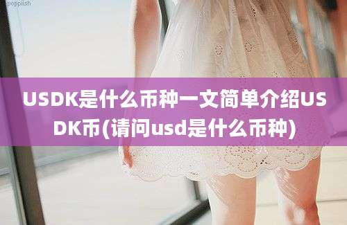 USDK是什么币种一文简单介绍USDK币(请问usd是什么币种)