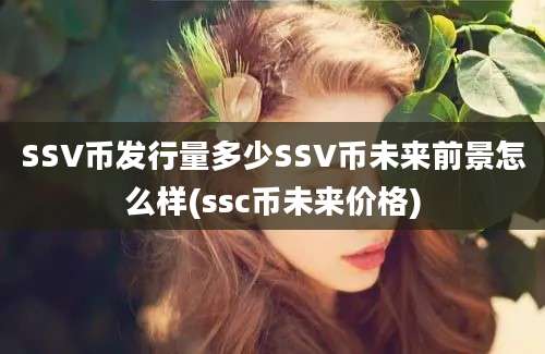 SSV币发行量多少SSV币未来前景怎么样(ssc币未来价格)