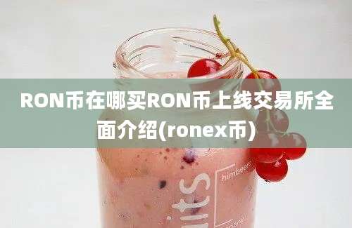 RON币在哪买RON币上线交易所全面介绍(ronex币)