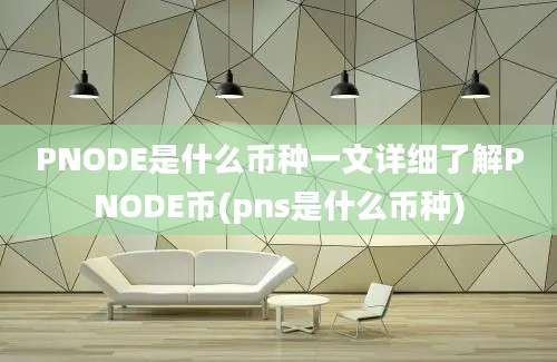 PNODE是什么币种一文详细了解PNODE币(pns是什么币种)