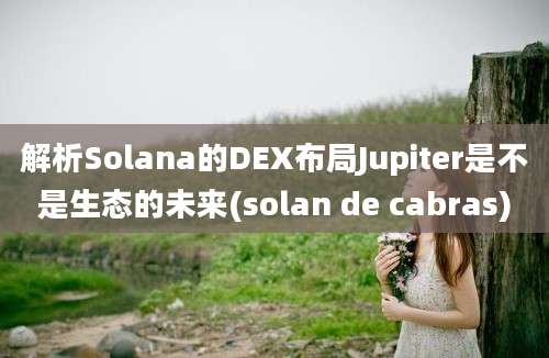 解析Solana的DEX布局Jupiter是不是生态的未来(solan de cabras)