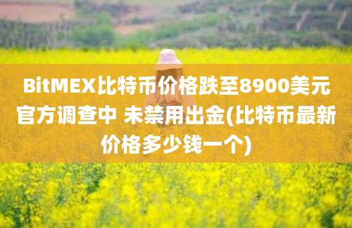 BitMEX比特币价格跌至8900美元官方调查中 未禁用出金(比特币最新价格多少钱一个)