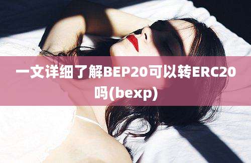 一文详细了解BEP20可以转ERC20吗(bexp)