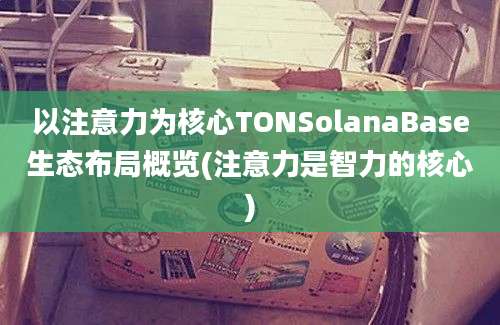 以注意力为核心TONSolanaBase生态布局概览(注意力是智力的核心)