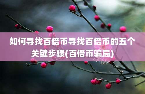 如何寻找百倍币寻找百倍币的五个关键步骤(百倍币骗局)