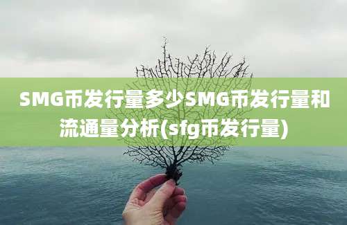 SMG币发行量多少SMG币发行量和流通量分析(sfg币发行量)