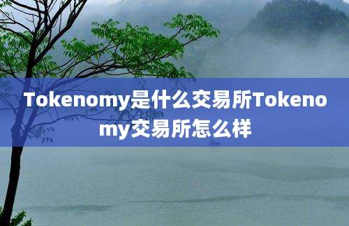 Tokenomy是什么交易所Tokenomy交易所怎么样