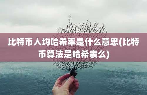 比特币人均哈希率是什么意思(比特币算法是哈希表么)