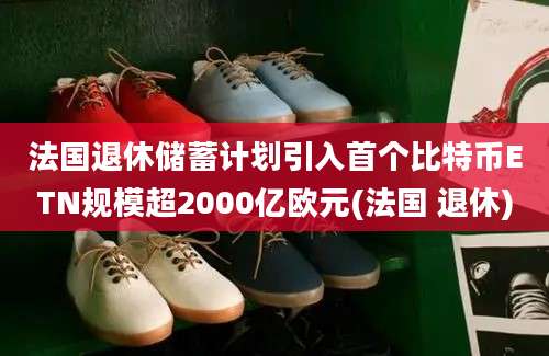 法国退休储蓄计划引入首个比特币ETN规模超2000亿欧元(法国 退休)