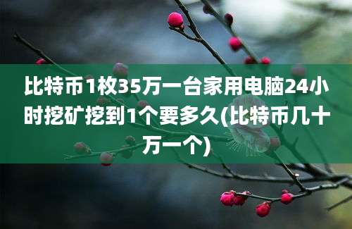 比特币1枚35万一台家用电脑24小时挖矿挖到1个要多久(比特币几十万一个)