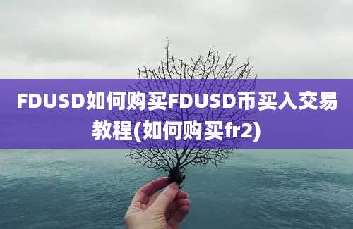 FDUSD如何购买FDUSD币买入交易教程(如何购买fr2)