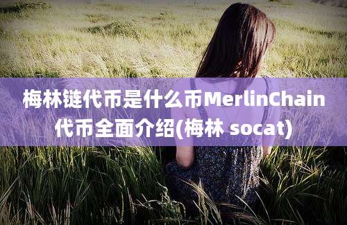 梅林链代币是什么币MerlinChain代币全面介绍(梅林 socat)