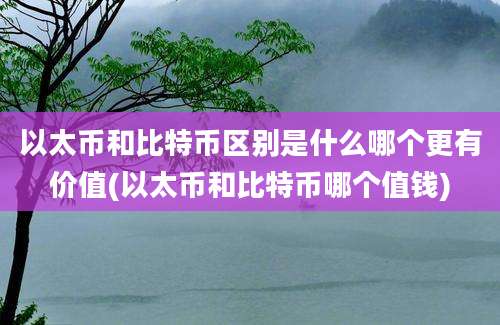 以太币和比特币区别是什么哪个更有价值(以太币和比特币哪个值钱)