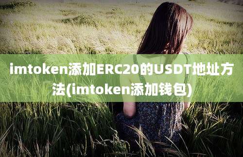 imtoken添加ERC20的USDT地址方法(imtoken添加钱包)