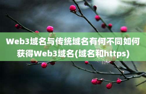 Web3域名与传统域名有何不同如何获得Web3域名(域名和https)