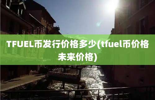 TFUEL币发行价格多少(tfuel币价格未来价格)