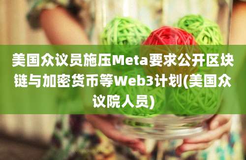 美国众议员施压Meta要求公开区块链与加密货币等Web3计划(美国众议院人员)