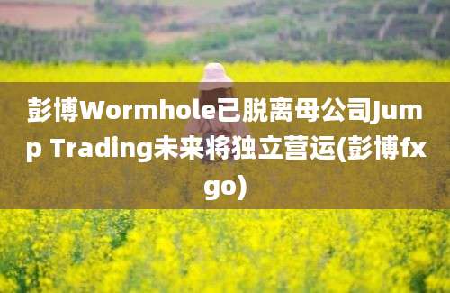 彭博Wormhole已脱离母公司Jump Trading未来将独立营运(彭博fxgo)