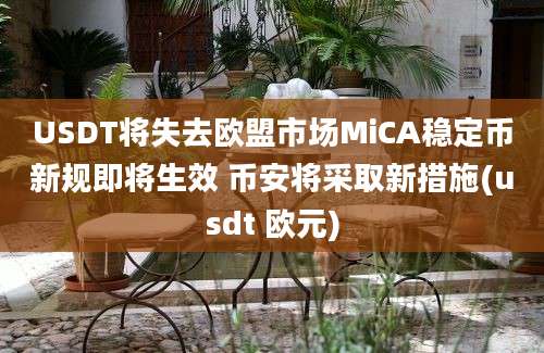 USDT将失去欧盟市场MiCA稳定币新规即将生效 币安将采取新措施(usdt 欧元)