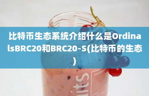 比特币生态系统介绍什么是OrdinalsBRC20和BRC20-S(比特币的生态)