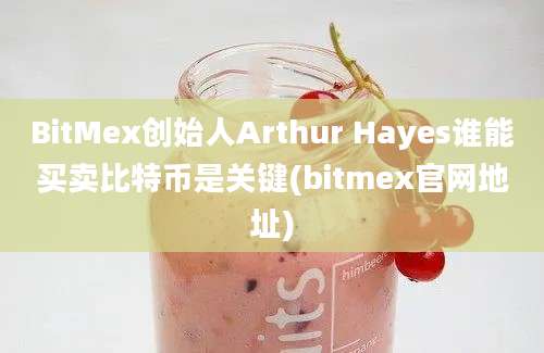 BitMex创始人Arthur Hayes谁能买卖比特币是关键(bitmex官网地址)