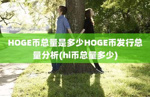 HOGE币总量是多少HOGE币发行总量分析(hi币总量多少)