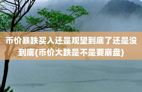 币价暴跌买入还是观望到底了还是没到底(币价大跌是不是要崩盘)