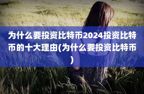 为什么要投资比特币2024投资比特币的十大理由(为什么要投资比特币)