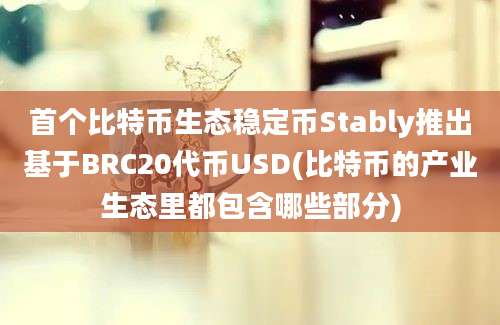 首个比特币生态稳定币Stably推出基于BRC20代币USD(比特币的产业生态里都包含哪些部分)