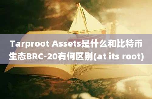 Tarproot Assets是什么和比特币生态BRC-20有何区别(at its root)