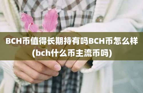 BCH币值得长期持有吗BCH币怎么样(bch什么币主流币吗)