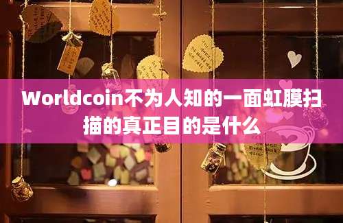 Worldcoin不为人知的一面虹膜扫描的真正目的是什么