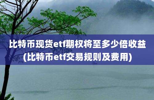 比特币现货etf期权将至多少倍收益(比特币etf交易规则及费用)