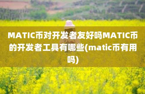 MATIC币对开发者友好吗MATIC币的开发者工具有哪些(matic币有用吗)