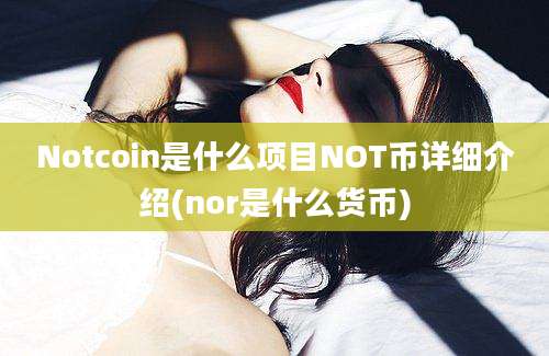 Notcoin是什么项目NOT币详细介绍(nor是什么货币)