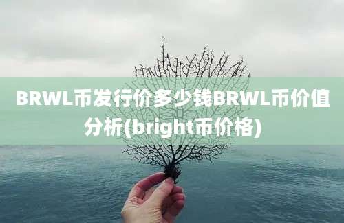 BRWL币发行价多少钱BRWL币价值分析(bright币价格)