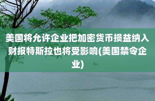 美国将允许企业把加密货币损益纳入财报特斯拉也将受影响(美国禁令企业)