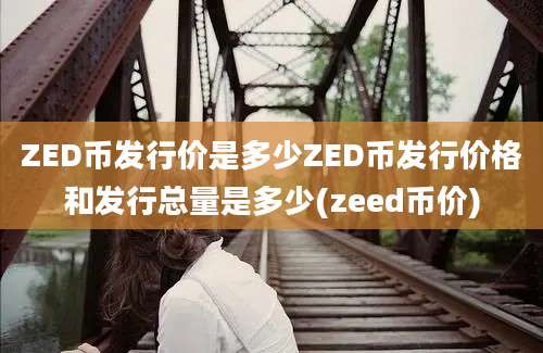 ZED币发行价是多少ZED币发行价格和发行总量是多少(zeed币价)