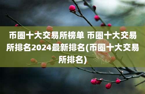 币圈十大交易所榜单 币圈十大交易所排名2024最新排名(币圈十大交易所排名)