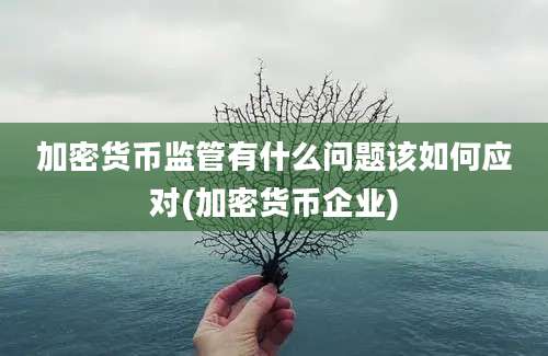 加密货币监管有什么问题该如何应对(加密货币企业)