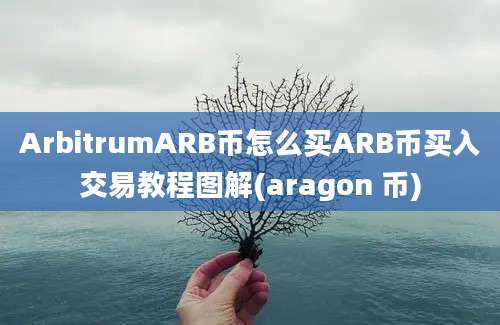 ArbitrumARB币怎么买ARB币买入交易教程图解(aragon 币)